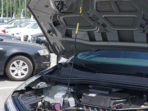 2024�� 50 e-tron quattro ������ҹ��