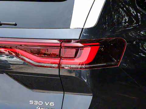 2024�� 530TSI �����콢ʤ��Pro ������  6��