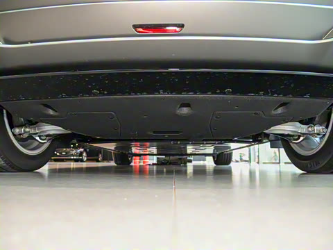 2023�� ˫�������������