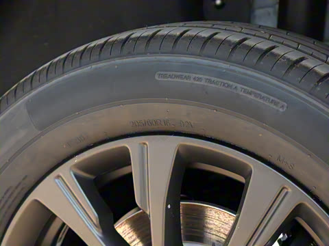 2025�� 520�ǻݰ�