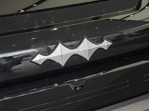 2025�� 501KM ����Max��