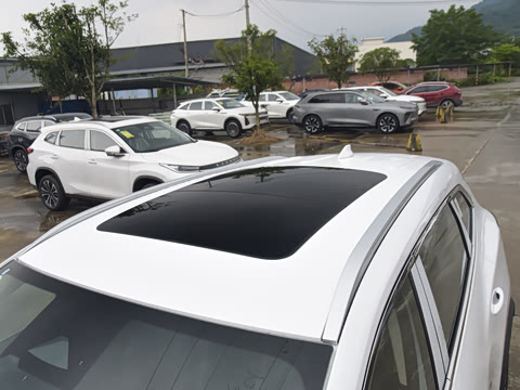 2025�� 300T ������ҫ��