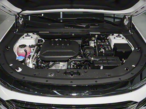 2025�� 1.5T �������Ȱ� 7��