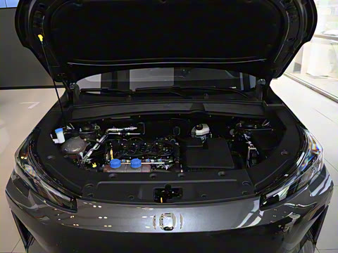 2025�� ����� 125 ��Խ��