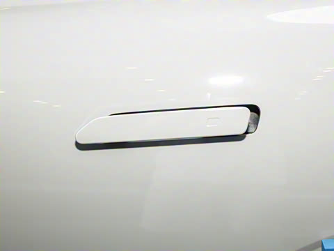 2025�� ���� 265 Max��������������ʻ