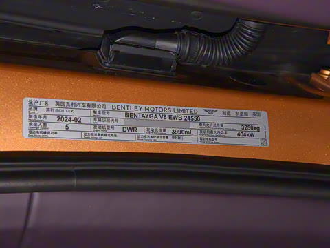 2024�� 4.0T V8 ������ŶȰ�