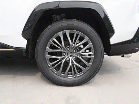 2024�� ˫�� 2.5L E-CVT��������PLUS��