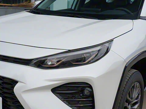 2024�� ˫�� 2.5L E-CVT��������PLUS��