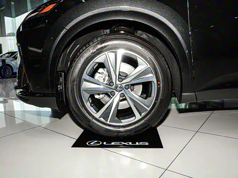 2025�� 300 ����������