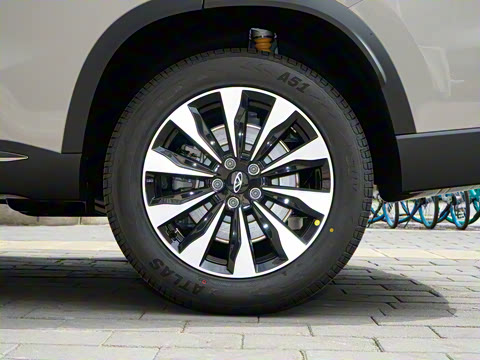 2025�� 290TGDI DCT�˷�� 