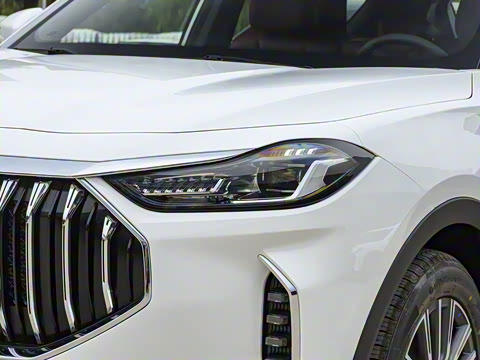 2024�� �ھ��� 1.5T DCT�ھ�MAX+ 5��