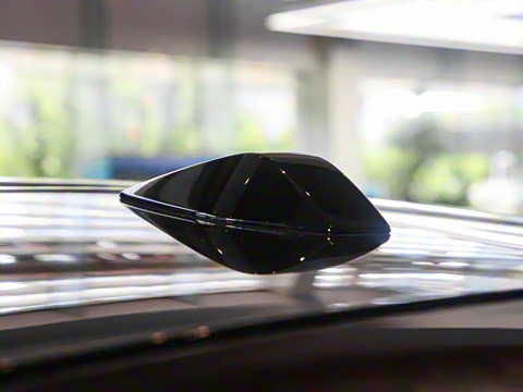 2025�� ����������Plus