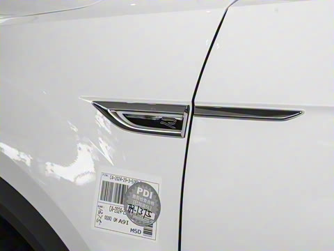 2024�� 300TSI DSG���������