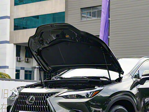 2024�� 260 ǰ�� ���ð�