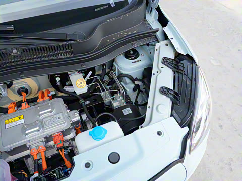 2025�� 310������