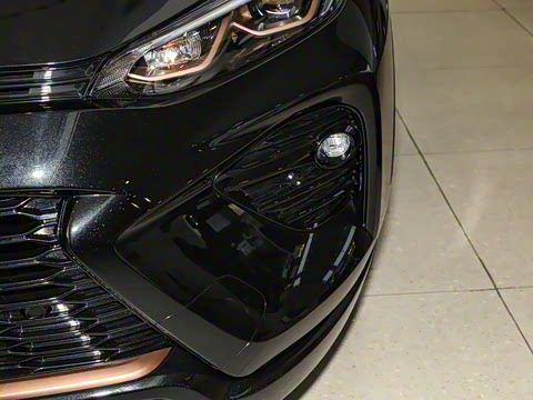 2024�� ˫�� 2.5L E-CVT�������а�