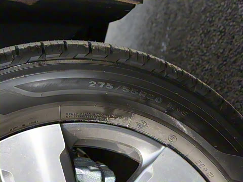 2024�� ���̱�׼�� 5��