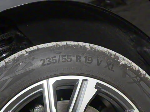 2024�� ���� ��������ɭ�ְ� ����