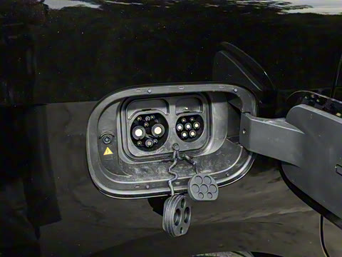 2024�� ���� ��������ɭ�ְ� ����