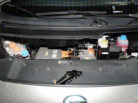 2023�� Younger ��ҫ��