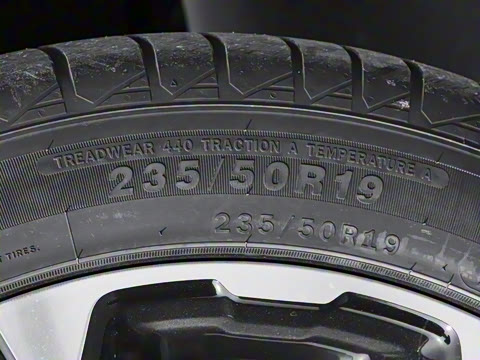 2025�� ������