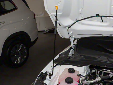 2025�� ���а�