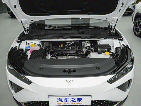 2024�� ���� 310 �����