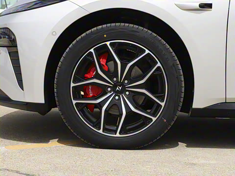 2025�� ���� 230Pro�캽��