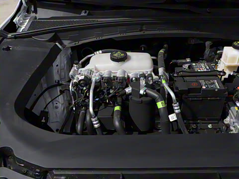 2025�� 520km ������