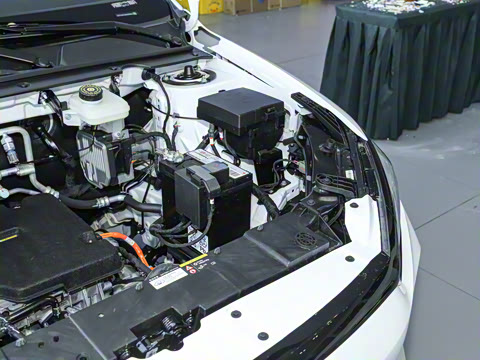 2024�� ��ҫ�� ������