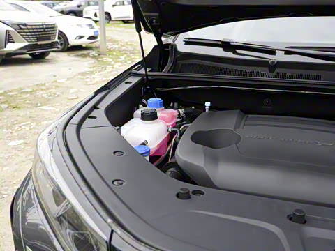 2024�� ������ �ھ��� 2.0T �Ǽݾ�����