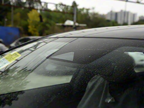 2025�� ���� ����� 230 ������