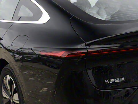 2025�� ���� ����� 230 ������