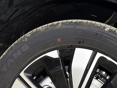 2025�� ���� ����� 230 ������