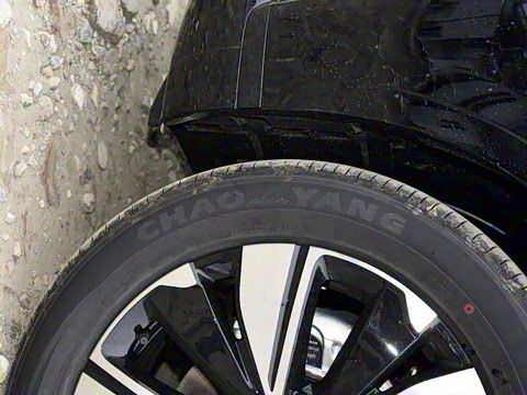 2025�� ���� ����� 230 ������