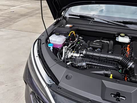 2024�� DM-i 80KM������