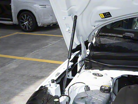 2025�� B3 ��Զ������