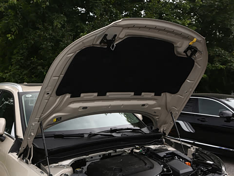 2024�� B4 ������Զ������