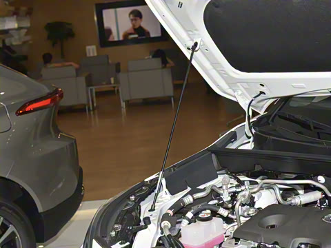 2023�� 2.5L ��������Pro