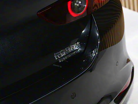 2023�� 2.0L �Զ������