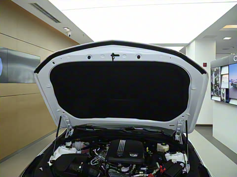 2023�� 28T ������