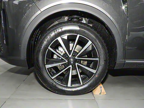 2025�� ����� 125 �캽��