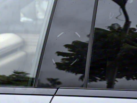 2025�� ���� 240 Pro�������ٸ�����ʻ