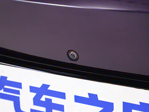 2024�� Max�����