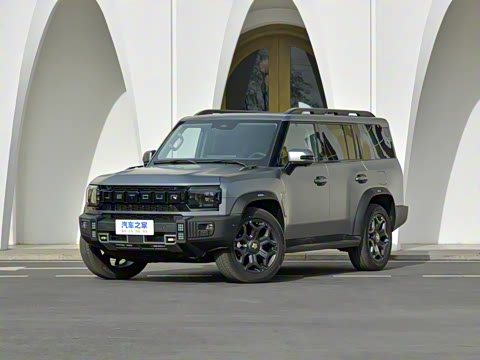 2025�� 2.0TD XWD �Զ�����+�ӳ��� 7��