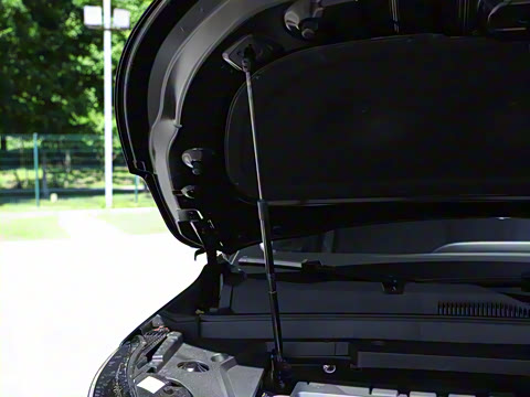 2025�� 300T ������ҫ��