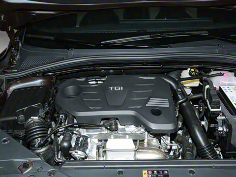 2022�� 1.5T Trophy�˶�������