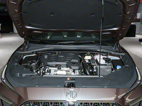 2022�� 1.5T Trophy�˶�������