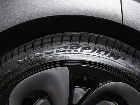 2025�� ����������������