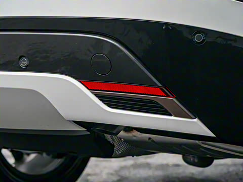 2024�� Dynamic SE